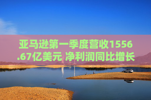 亚马逊第一季度营收1556.67亿美元 净利润同比增长64%
