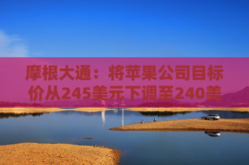 摩根大通：将苹果公司目标价从245美元下调至240美元