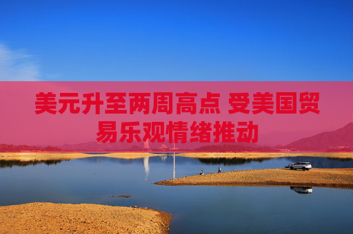 美元升至两周高点 受美国贸易乐观情绪推动
