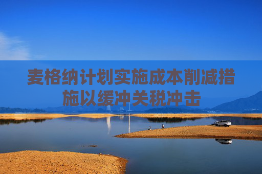 麦格纳计划实施成本削减措施以缓冲关税冲击  第1张