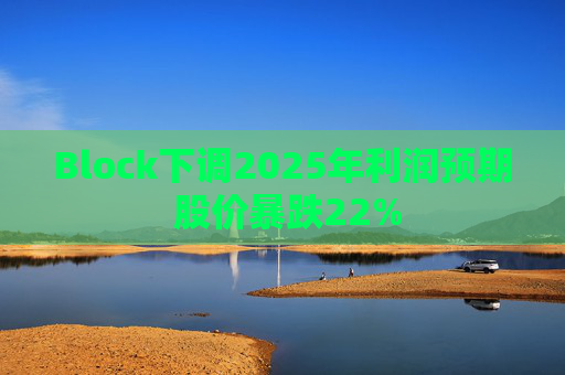 Block下调2025年利润预期 股价暴跌22%