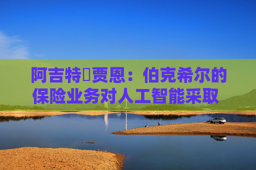 阿吉特・贾恩：伯克希尔的保险业务对人工智能采取 “观望” 态度  第1张