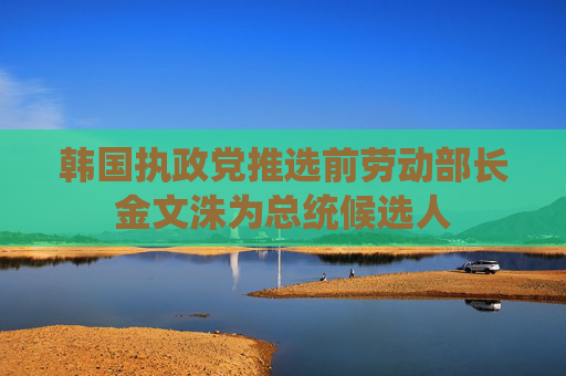 韩国执政党推选前劳动部长金文洙为总统候选人