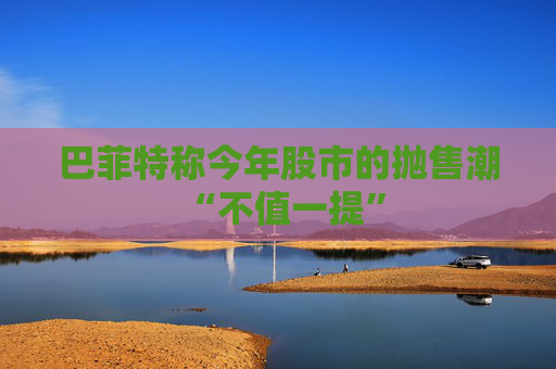 巴菲特称今年股市的抛售潮 “不值一提”