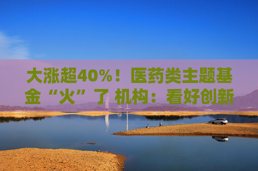 大涨超40%！医药类主题基金“火”了 机构：看好创新药投资机会