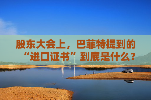 股东大会上，巴菲特提到的“进口证书”到底是什么？