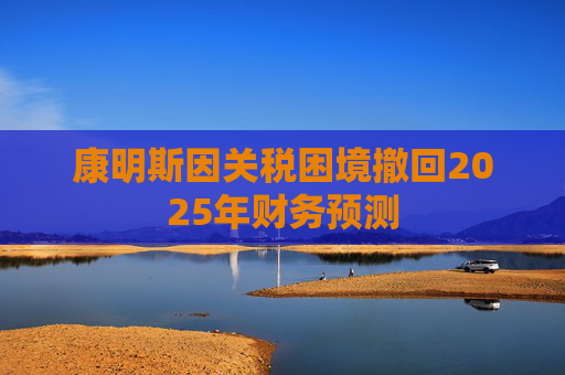 康明斯因关税困境撤回2025年财务预测