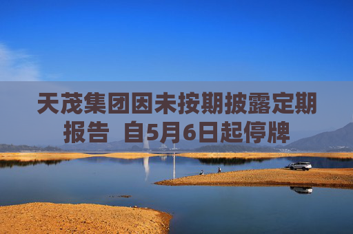 天茂集团因未按期披露定期报告  自5月6日起停牌