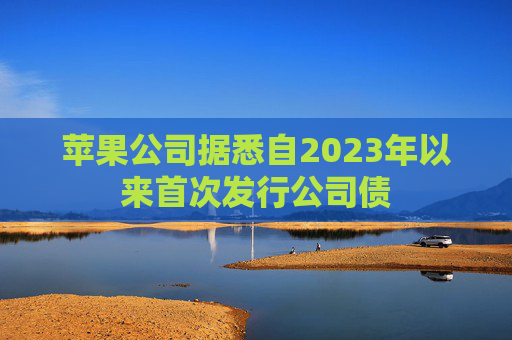 苹果公司据悉自2023年以来首次发行公司债