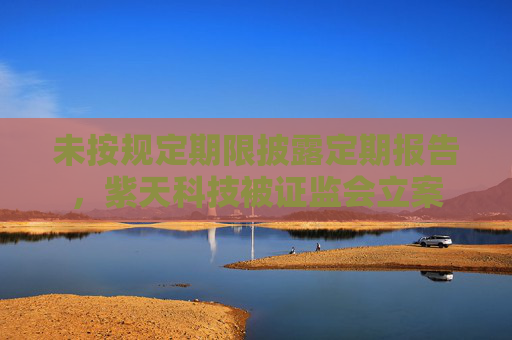 未按规定期限披露定期报告，紫天科技被证监会立案