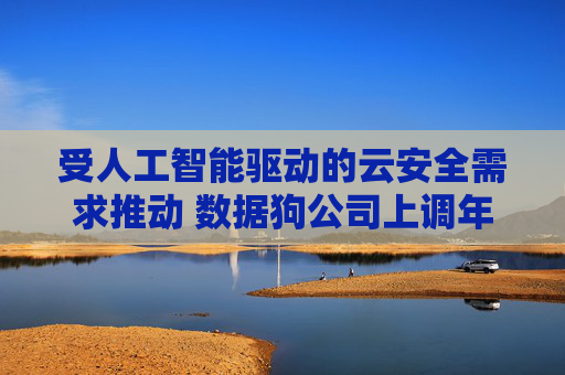 受人工智能驱动的云安全需求推动 数据狗公司上调年度营收预期