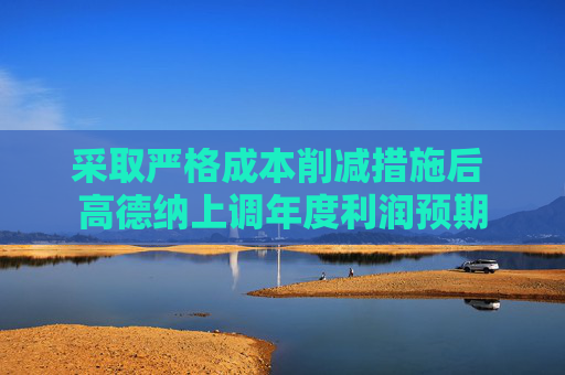 采取严格成本削减措施后 高德纳上调年度利润预期