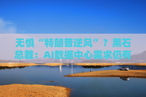 无惧“特朗普逆风”？黑石总裁：AI数据中心需求仍有大量增长空间！