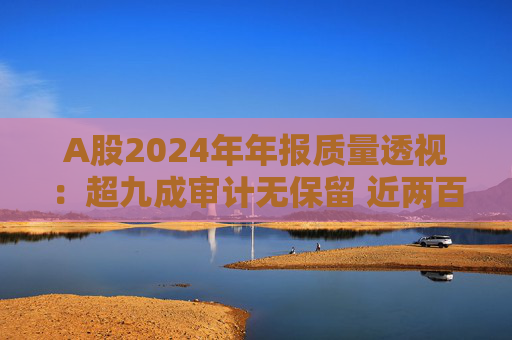 A股2024年年报质量透视：超九成审计无保留 近两百家获“非标”