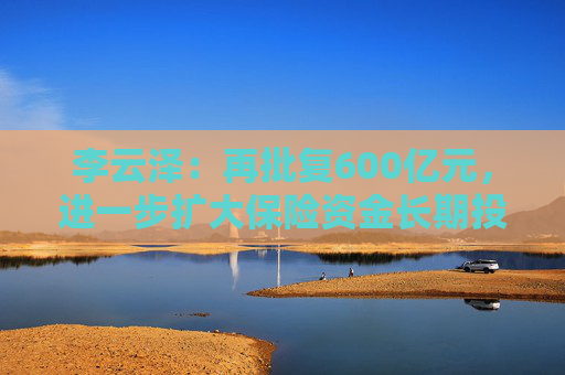 李云泽：再批复600亿元，进一步扩大保险资金长期投资试点范围