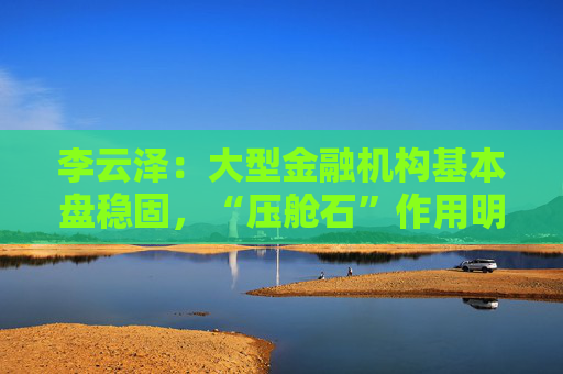 李云泽：大型金融机构基本盘稳固，“压舱石”作用明显