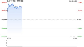 金价创下逾4600美元新高后，市场对于能否延续涨势存在分歧