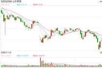 山东章鼓因财务造假致“戴帽”在即，国资深度介入能否扭转“父子店”困局？