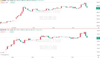 金银双双刷爆历史纪录！“货币贬值交易”已彻底疯狂？