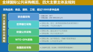 中国联合国采购促进会宋嘉：企业出海是一种战略选择