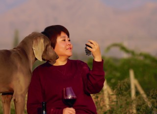 两周爆卖10万瓶，木兰朵的葡萄酒爆款逻辑是什么？