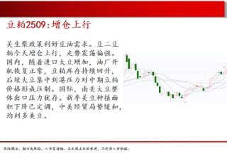 中天期货:棕榈大涨的高位调整 尿素继续大涨