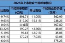 巨头大个险改革进行时：人力再少10万，难题还在出清中