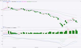 东海期货生猪月度策略报告|猪价超跌后低估值及政策稳定预期增强