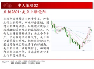中天期货:商品指数小阴调整 碳酸锂再度起涨