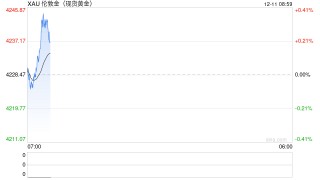 中金缪延亮：黄金能否替代美元？