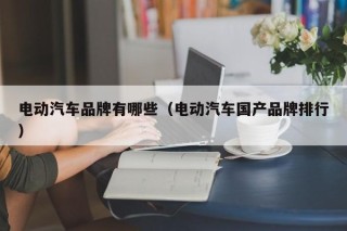 电动汽车品牌有哪些（电动汽车国产品牌排行）