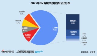 2025一级市场回顾 | BV百度风投：下半年活跃度明显跃升 七成投向人工智能赛道