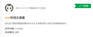 Soul三闯港股的底气：1100万“铁粉”月均付费104元撑起124亿对赌？