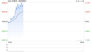 美欧紧张局势与避险需求共振推动金价再创新高