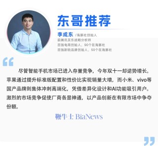 全面进入存量市场，这个双十一，手机却「卖爆了」？