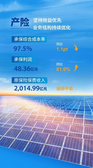 中国太保2025年度成绩单