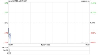 马鞍山钢铁股份续聘德勤华永为审计师