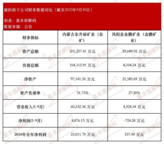 国城矿业周期突围：从铅锌基本盘到钼锂新赛道，在高质量发展中寻求资产价值重估