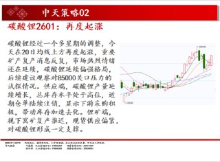 中天期货:商品指数小阴调整 碳酸锂再度起涨