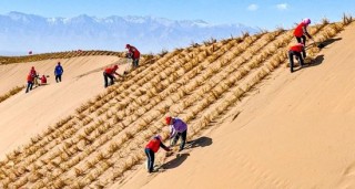 人民日报钟才平，连续五日发声！