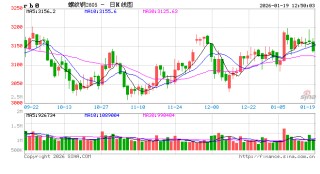 光大期货矿钢煤焦类日报1.19