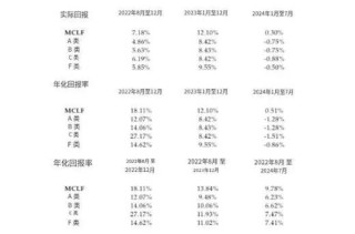 “不差钱”的李小加，勇闯港交所