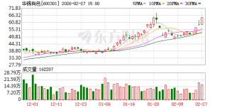 华锡有色：公司已完成使用公积金弥补亏损