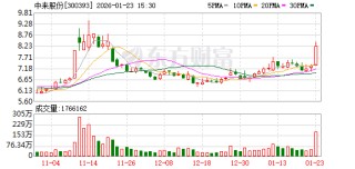 中来股份：公司及控股子公司不存在逾期担保