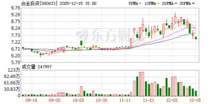 合金投资：公司目前主要从事镍基合金材料的生产与销售以及开展新能源运输业务