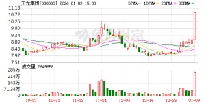 天龙集团：公司不存在逾期担保