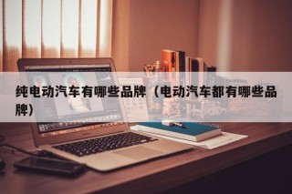 纯电动汽车有哪些品牌（电动汽车都有哪些品牌）