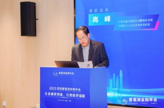 高峰：解析智能金融双轨架构与治理路径，提出数据、技术、安全三维协同破解大模型“幻觉”难题