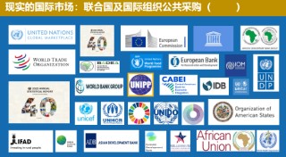 中国联合国采购促进会宋嘉：企业出海是一种战略选择