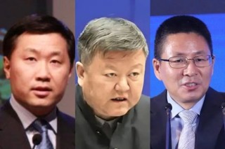 姚刚侄子十年复仇，证监会“双王”落马